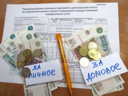 В Госдуме РФ предложили поощрять граждан за оплату услуг ЖКХ в электронном формате - Новости энергетики и энергосбережения