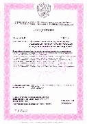 Лицензия МЧС 1.jpg - Свидетельства, сертификаты и лицензии группы компаний "Интерфейс"
